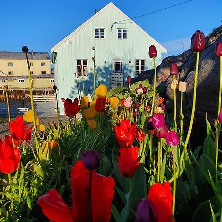 Lysvoldbrygga Bed and Breakfast Henningsvaer Exterior foto