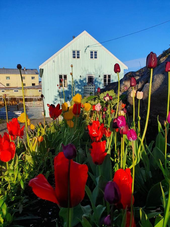 Lysvoldbrygga Bed and Breakfast Henningsvaer Exterior foto