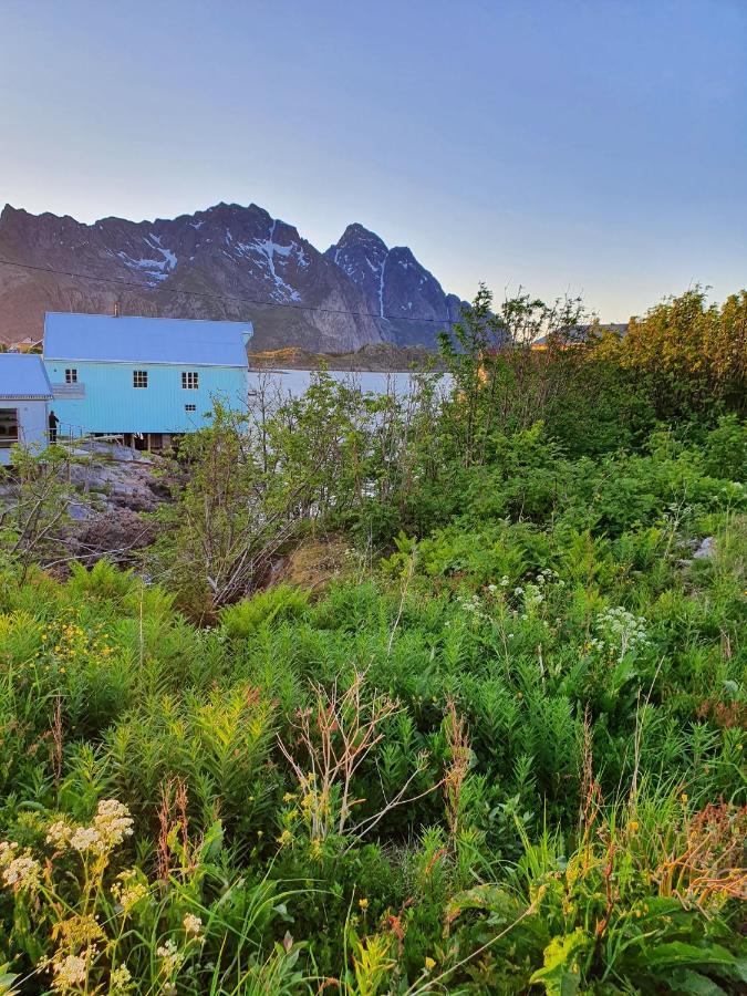 Lysvoldbrygga Bed and Breakfast Henningsvaer Exterior foto